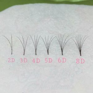 4 loại lông mi fan được ưa chuộng nhiều nhất 2024