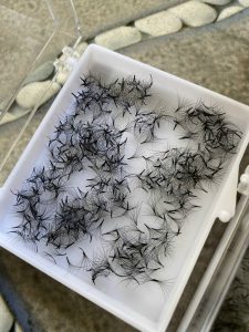 Công ty Linh Khôi sản xuất lông mi giả tại Việt Nam