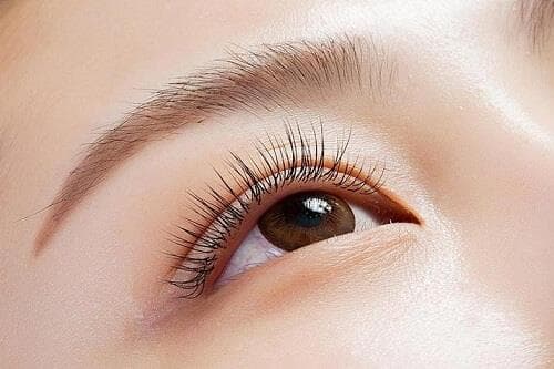 Lông mi giả chùm Lông mi giả chùm
